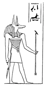 Jackal: Anubis, Egyptian deity, ruler of necropolis
