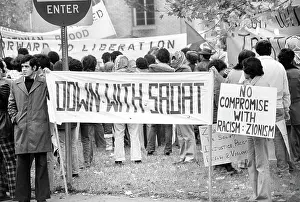 Leffler: Anwar Sadat - political demonstrations