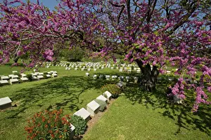 Anzac: Anzac - Shrapnel Valley CWGC