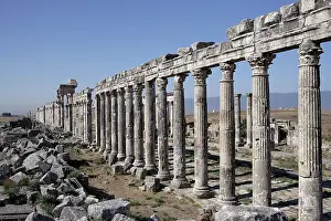 Infinitude: Apamea