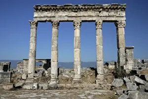 Cardo: Apamea