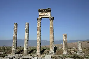 Cardo: Apamea