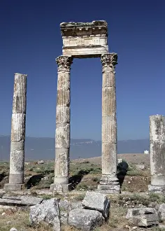 Cardo: Apamea