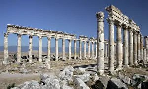 Cardo: Apamea