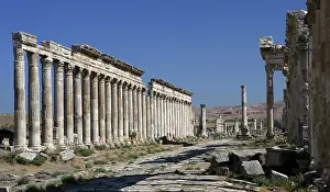 Infinitude: Apamea