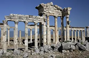 Cardo: Apamea