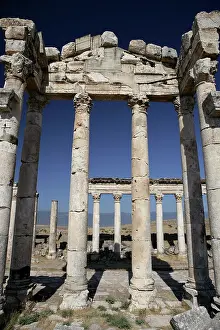 Cardo: Apamea