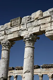 Apamea: Apamea (Afamia)