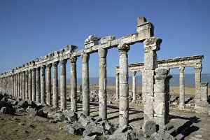 Infinitude: Apamea (Afamia)