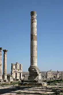 Apamea: Apamea (Afamia)