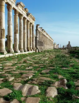 Apamea: Apamea. Cardo Maximus. Syria