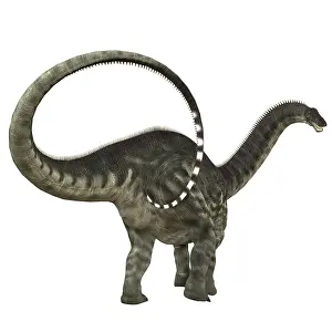 Swinging: Apatosaurus dinosaur
