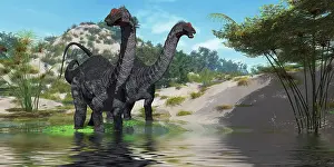 Brontosaurus: Two Apatosaurus dinosaur wade through a lush pond