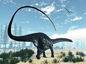 Massive: Apatosaurus dinosaur walking in the desert