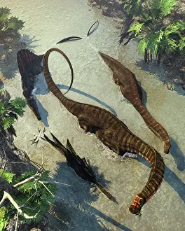 Threat: Apatosaurus dinosaurs being chased by a Spinosaurus