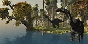 Terrible: Two Apatosaurus dinosaurs visit an island in prehistoric ?