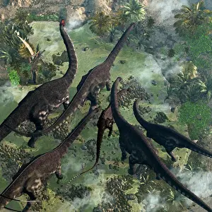 Brontosaurus: A few Apatosaurus join the moving herd
