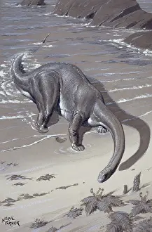 Neave: Apatosaurus, previously known as Brontosaurus