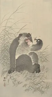 Koson: Ape with Insect