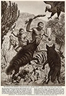 Hyenas: Ape men fight off animals