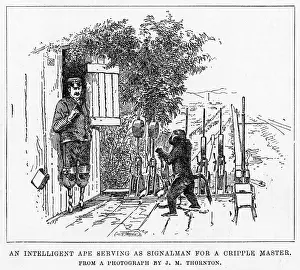 Signalman: APE SIGNALMAN