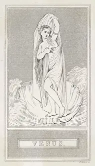 Turbulent: Aphrodite - Venus