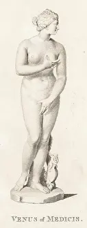 Medicis: Aphrodite - Volpato