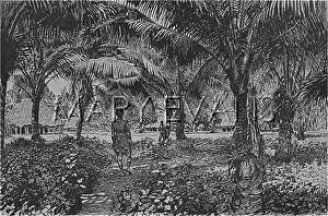 Apia: APIA/SAMOAN GROUP
