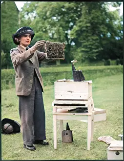 Beekeeping: THE APIARIST