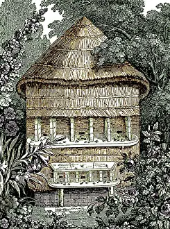 Hive: Apiary, Hives for Honey Bees, 1827
