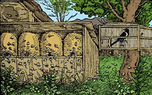 Hive: Apiary, Skep Beehives