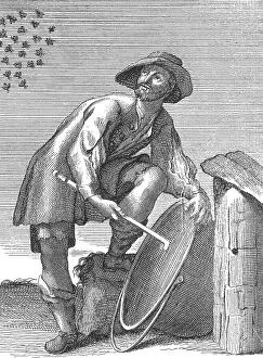 Hive: Apiculture, Beekeeper Beckons Swarm Back to Hive