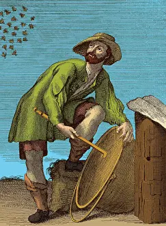 Honey: Apiculture, Beekeeper Beckons Swarm Back to Hive
