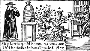Hive: Apiculture, Beekeeping, 18 Century