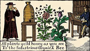 Honey: Apiculture, Beekeeping, 18 Century
