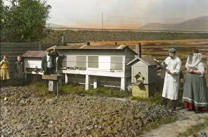 Hives: apiculturist