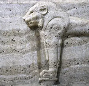 Apis: Apis Bull