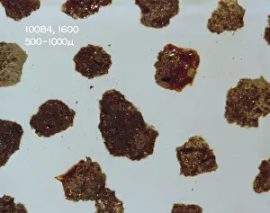 Grains: Apollo 11 Lunar Soil, 1969
