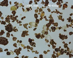 Grains: Apollo 11 Lunar Soil, 1969