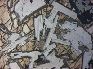 Minerals: Apollo 11 Moon Rock Section