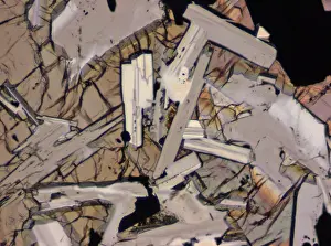 Minerals: Apollo 11 Moon Rock Section