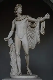 Serpent: Apollo Belvedere. 2nd century. Copy. White marble. Attribute