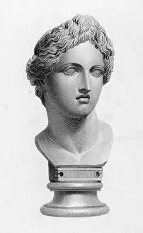 Helios: APOLLO (BUST)