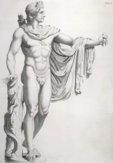 Belvidere: APOLLO & FIG-LEAF
