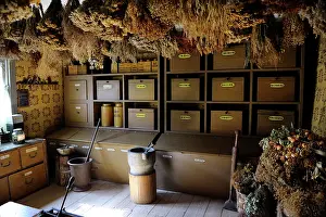 Cure: Apothecary's. Ancient herbalism. Pharmacy Museum. Turku. Fi