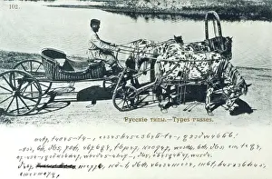 Tack: Appalusia Horse-pulled cart