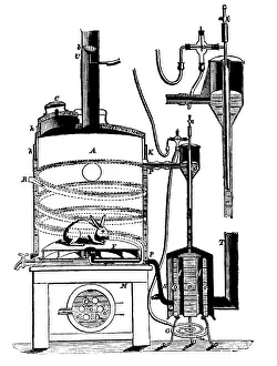Milieu: Apparatus Used by Bernard to Study of the Effects of Heat on