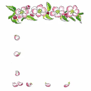 Mcmullen: Apple Blossom
