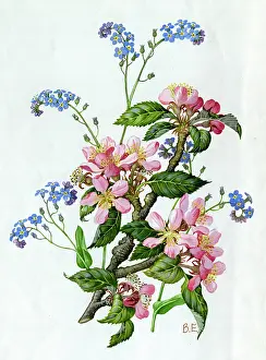 Nots: Apple blossom and forget-me-nots