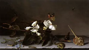 Sprig: Apple Blossoms